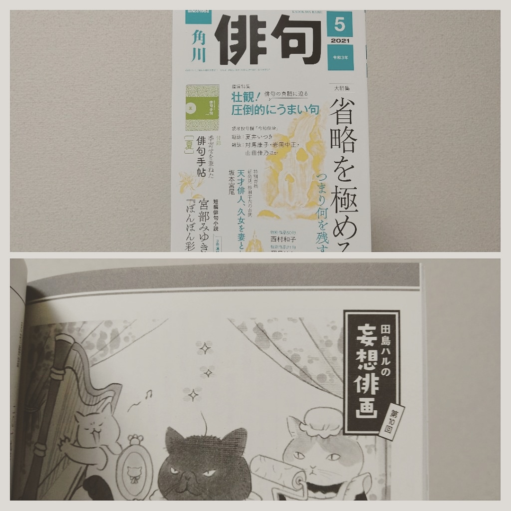 角川「俳句」5月号発売中。 #田島ハルの妄想俳画 載ってます。第10回目は大木あまり先生の句から俳画とエッセイを書きました。
特集の「壮観!圧倒的にうまい句」とはどんな句なのでしょうか…これからゆっくり読もうと思います。
連休のお供に角川「俳句」をどうぞ📖 #俳句 #俳画 #角川俳句
