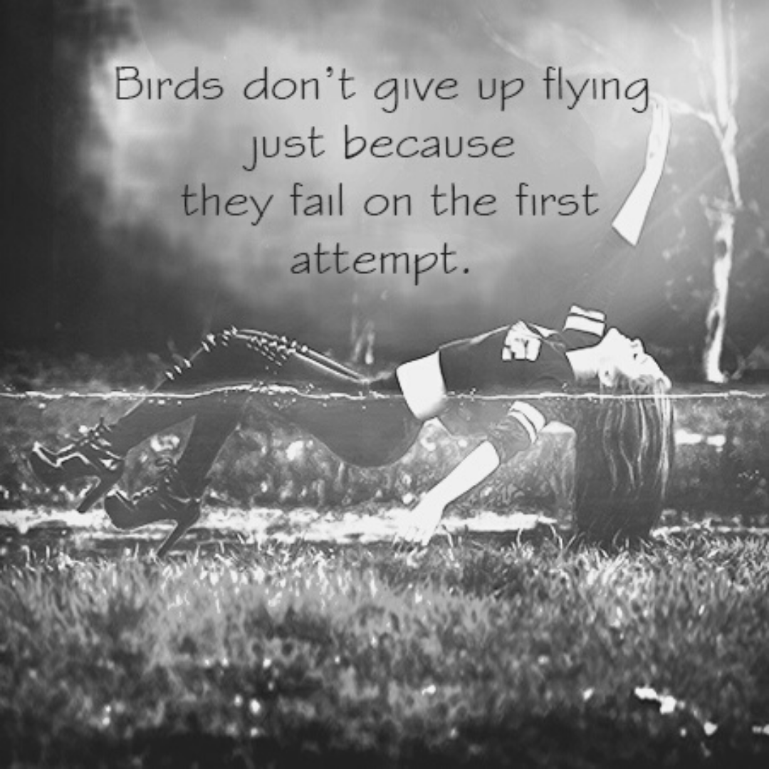 Boss of My Own Mind tweet media