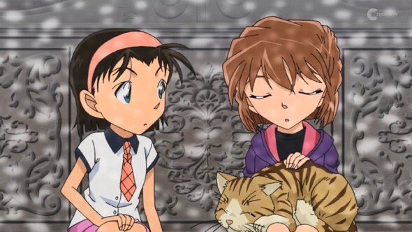 コナン放送予定