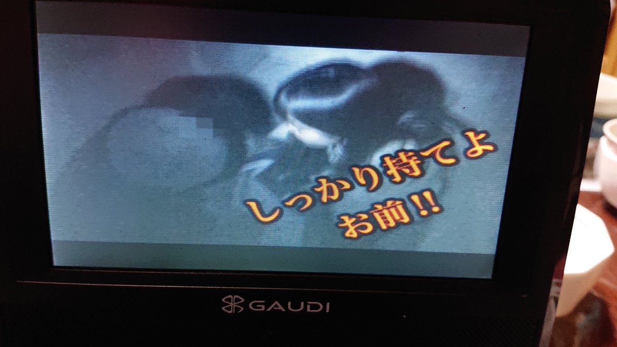 封印映像 公式 Fuineizou1 Twitter