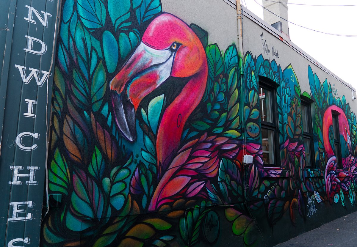 Ottawa_Tourism's tweet photo. Heading out for some fresh air? 🚶 Check out @houseofpaint’s guide to Ottawa’s urban street art and explore some of the beautiful art in your neighbourhood! 👉 https://t.co/Qg2O8AI8yw #MyOttawa https://t.co/oraZPaXVco