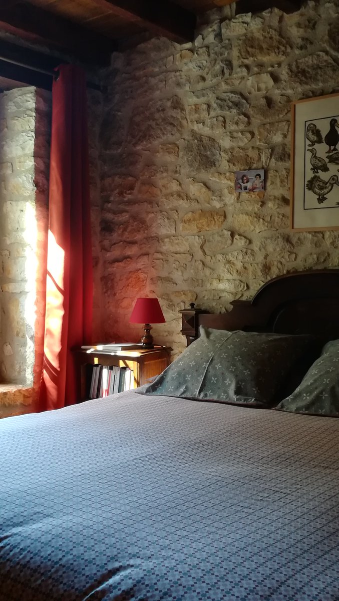 Bibliogîte en Périgord 📚🏊🌳 tweet media