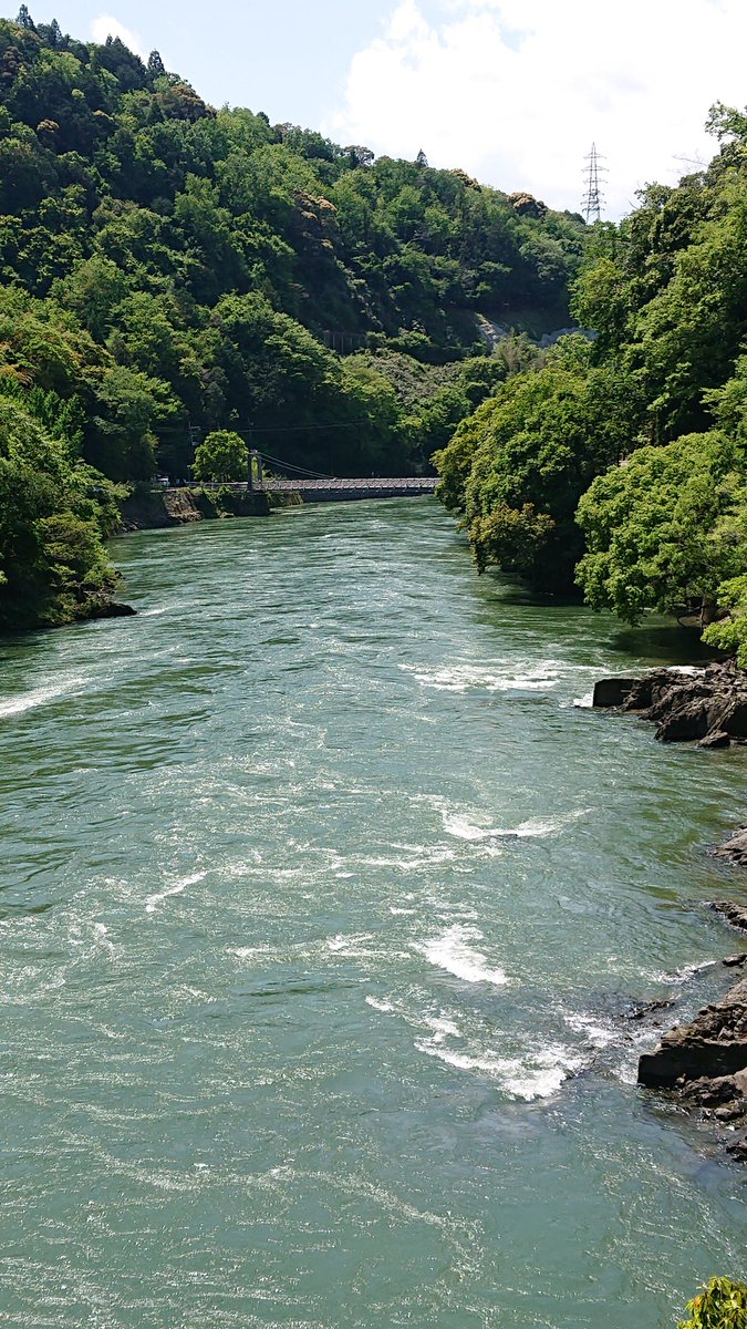 hissyosaka's tweet photo. 新緑の茶畑地帯を越え、田植えの田園風景を見ながら信楽から長浜まで行ってきた
信楽焼の徳利と盃の冷酒セットも買えた
#信楽 #信楽焼 #長浜 #黒壁スクエア #長浜曳山 #R307 https://t.co/oePSqjeqK6