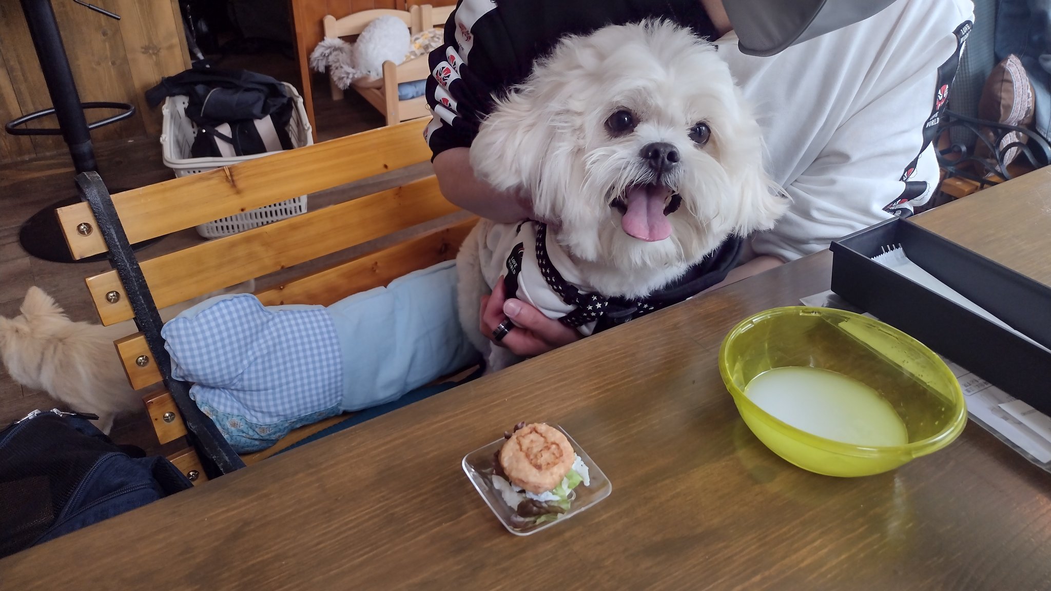 吉祥寺 井の頭公園のドッグカフェわんすた みんなわんわんしらすライスバーガー食べてくれてありがとうu ｪ U 喜んで食べてる姿を見ると幸せです 明日の分も仕込み頑張ります 井の頭公園 吉祥寺 井の頭公園ドッグカフェ 吉祥寺ドッグカフェ 東京