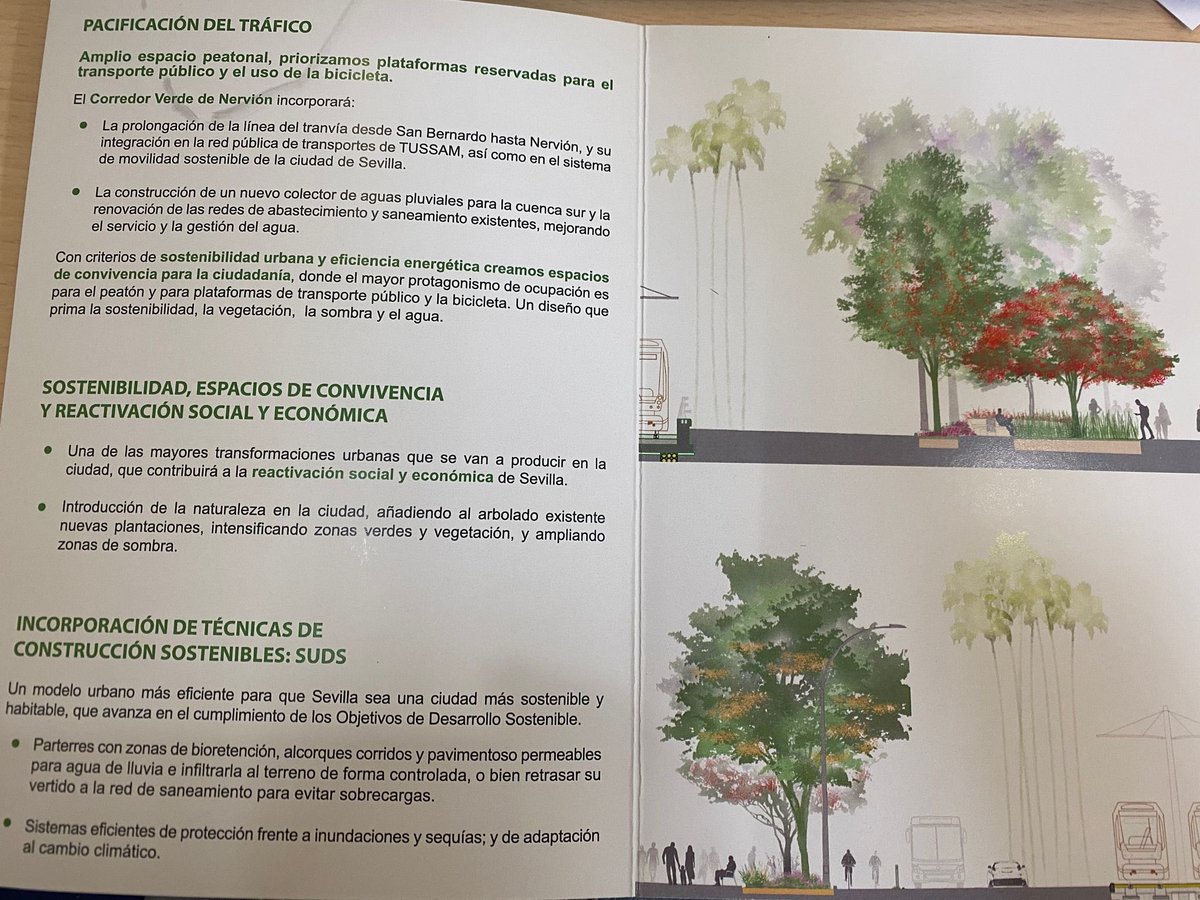 Este es el panfleto con el que hoy <a href="/JuanEspadasSVQ/">Juan Espadas</a> ha mentido a <a href="/Teresaribera/">Teresa Ribera</a>.

Dice que se “añadirán plantaciones al arbolado existente” ¡MENTIRA! 😡

👉🏻 128 árboles ❌🌳 maduros serán talados para que el tranvía vaya en el centro de la calzada y no quite espacio a los coches.