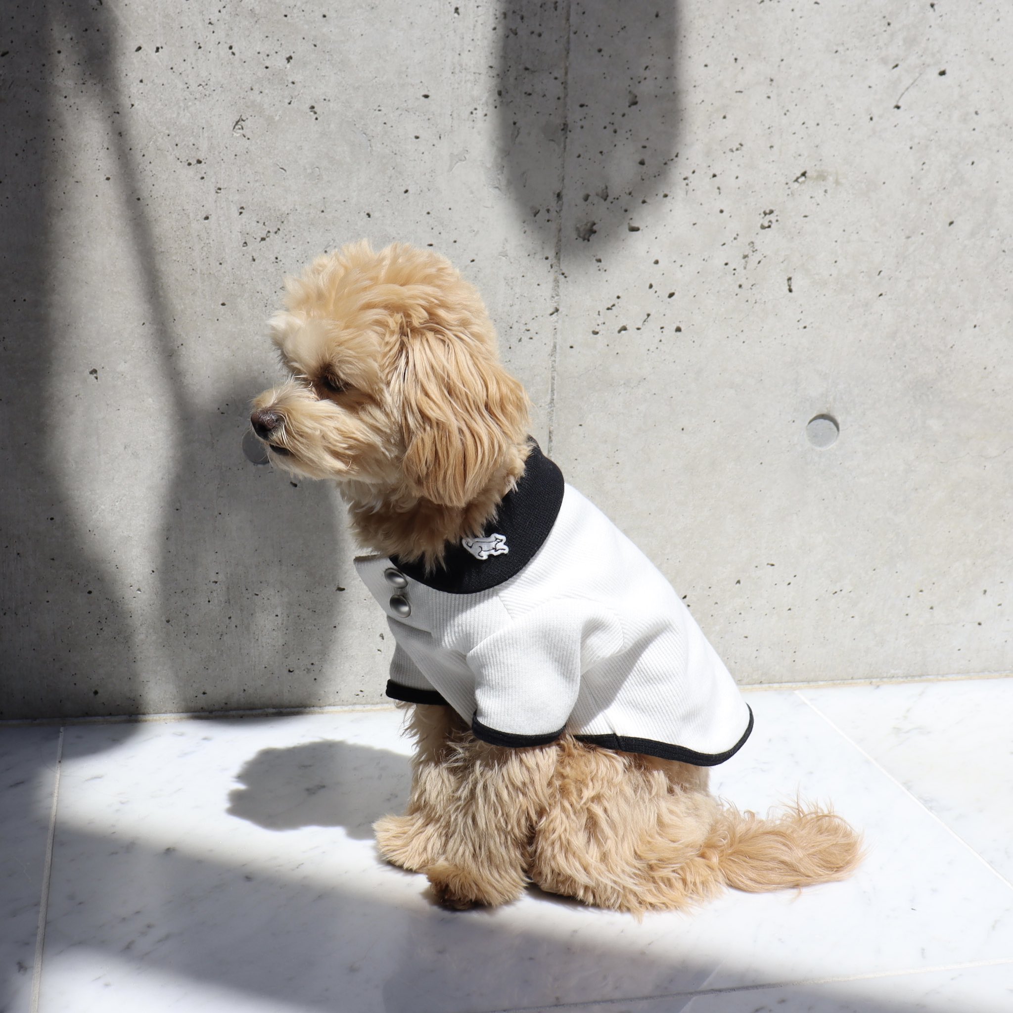 有名なブランド 犬服♡袖付き(犬と生活) - 犬用品