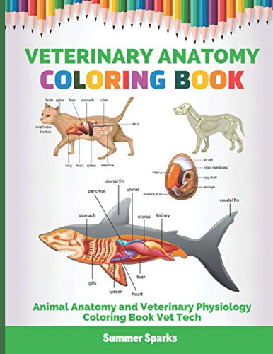 Download Pdf Free Veterinary Anatomy Coloring Book Animal Anatomy And Vet