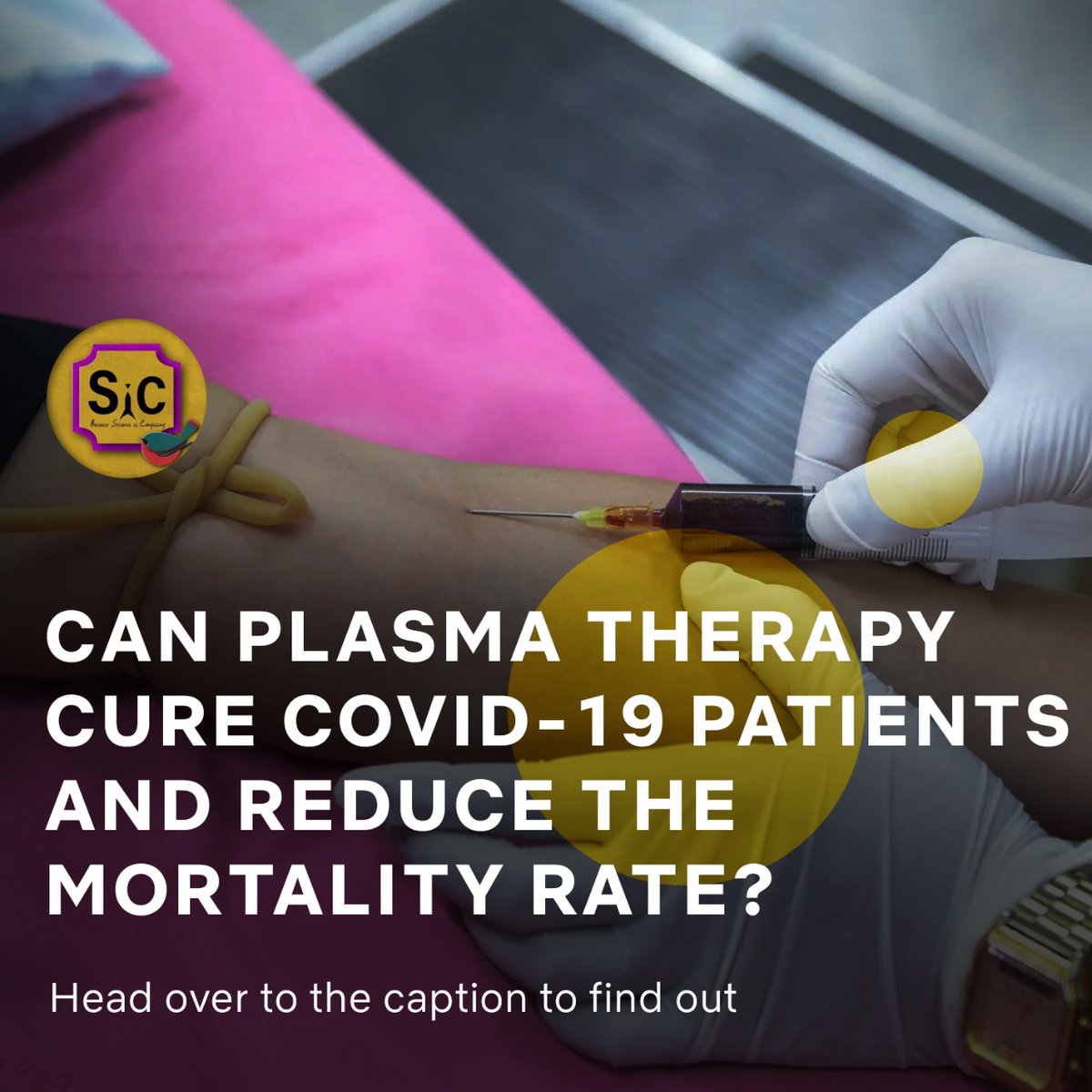 Team_SiC_2020's tweet photo. Can Plasma Therapy cure Covid19 patients and reduce mortality rate?

Written by Sakshi Agarwal

Click to know more: https://t.co/CUu28mCssV

#scicomm #science #plasma #plasmadonation #mortalityrate #covid19 #vaccine #Unite2FightCorona #scienceisconfusing #instashorts https://t.co/XI6JVDte8P