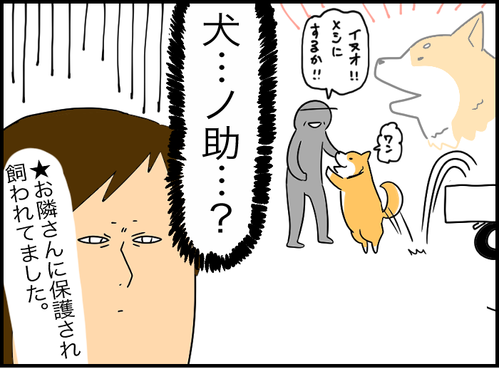 まんまと保護されて飼われちゃうイッヌ、アホ可愛い🥺❤️ 
