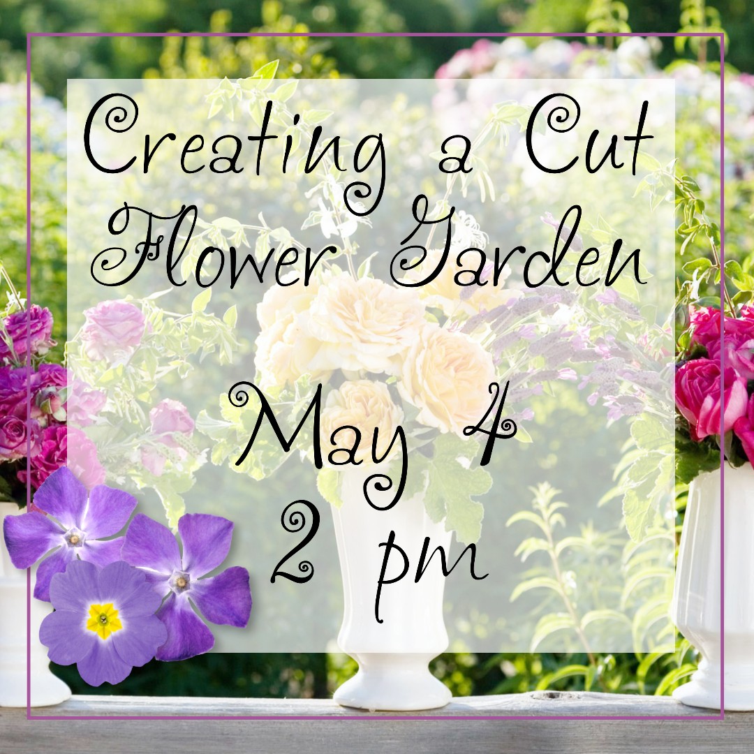 publibann's tweet image. Creating a Cut Flower Garden
Tuesday, May 4 at 2 pm.
Join Master Gardener, Sherry Blanton, Southern Gardener for The Anniston Star,  on facebook.com/publiclibrary.… as she discusses everything, starting from the smallest seeds up to producing something lovely.
