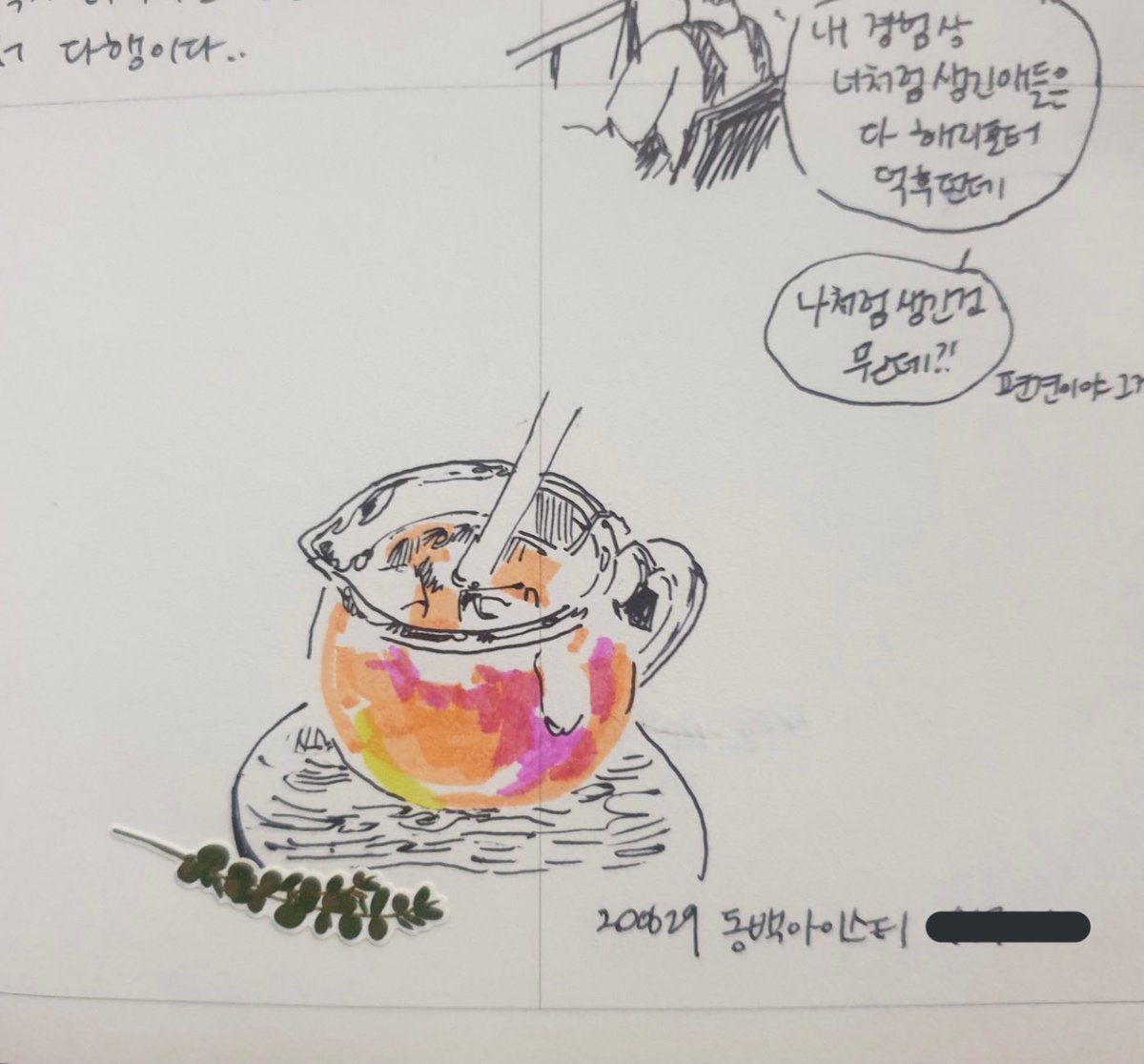 다이어리에 그림 그리는 거에 진심이었구만 과거의 나.. 