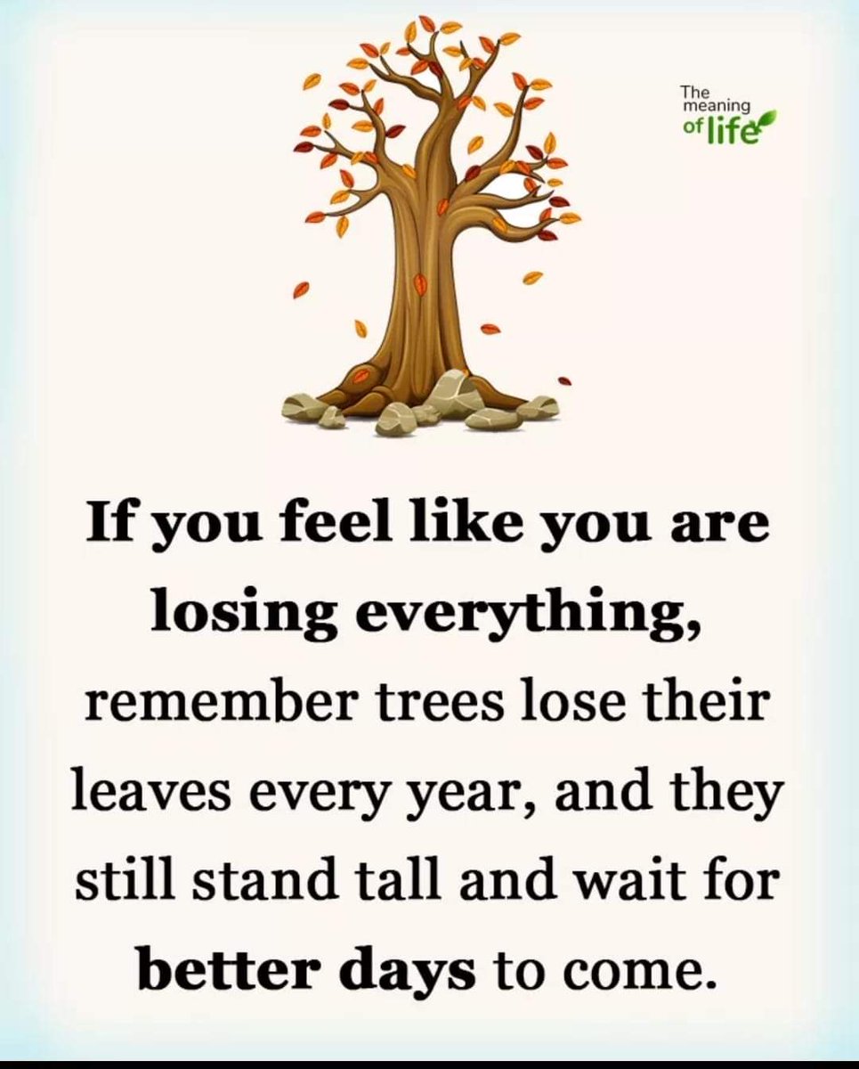 MotivatedVibe's tweet image. ### Indeed, Sometimes during crisis we feel in life that we have lost everything,but life &amp;amp; time keep moving and we definately get to see the sunshine after the darkness.Stay Positive Stay healthy🙏🙏 Read daily positive thoughts @AnandMittal77
