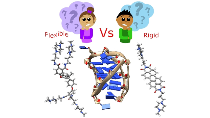 Imide condensation as a strategy for the synthesis of core-diversified G-quadruplex ligands with anticancer and antiparasitic activity (Galan) <a href="/BristolChem/">Bristol Chemistry</a> <a href="/ipbln_csic/">IPBLN-CSIC</a> <a href="/MCGalan_Bristol/">M. Carmen Galan</a> <a href="/JuanCar77902465/">Juan Carlos Morales Sánchez</a> <a href="/Street_Research/">Steve Street</a> <a href="/chemistry_mike/">Michael O'Hagan</a> onlinelibrary.wiley.com/doi/10.1002/ch…