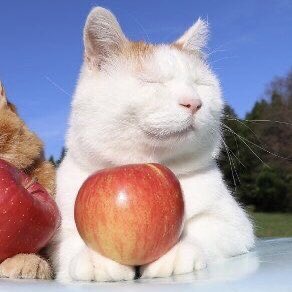 yvesfolder's tweet image. 