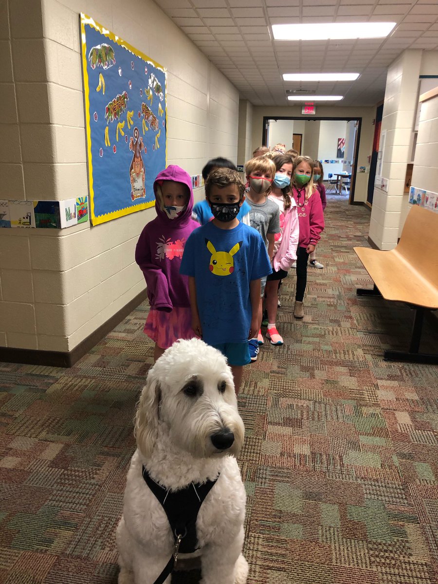 @Lyle_Gernert let me be the line leader today! It was the best day ever! All of my first grade human friends followed me out to recess.❤️
