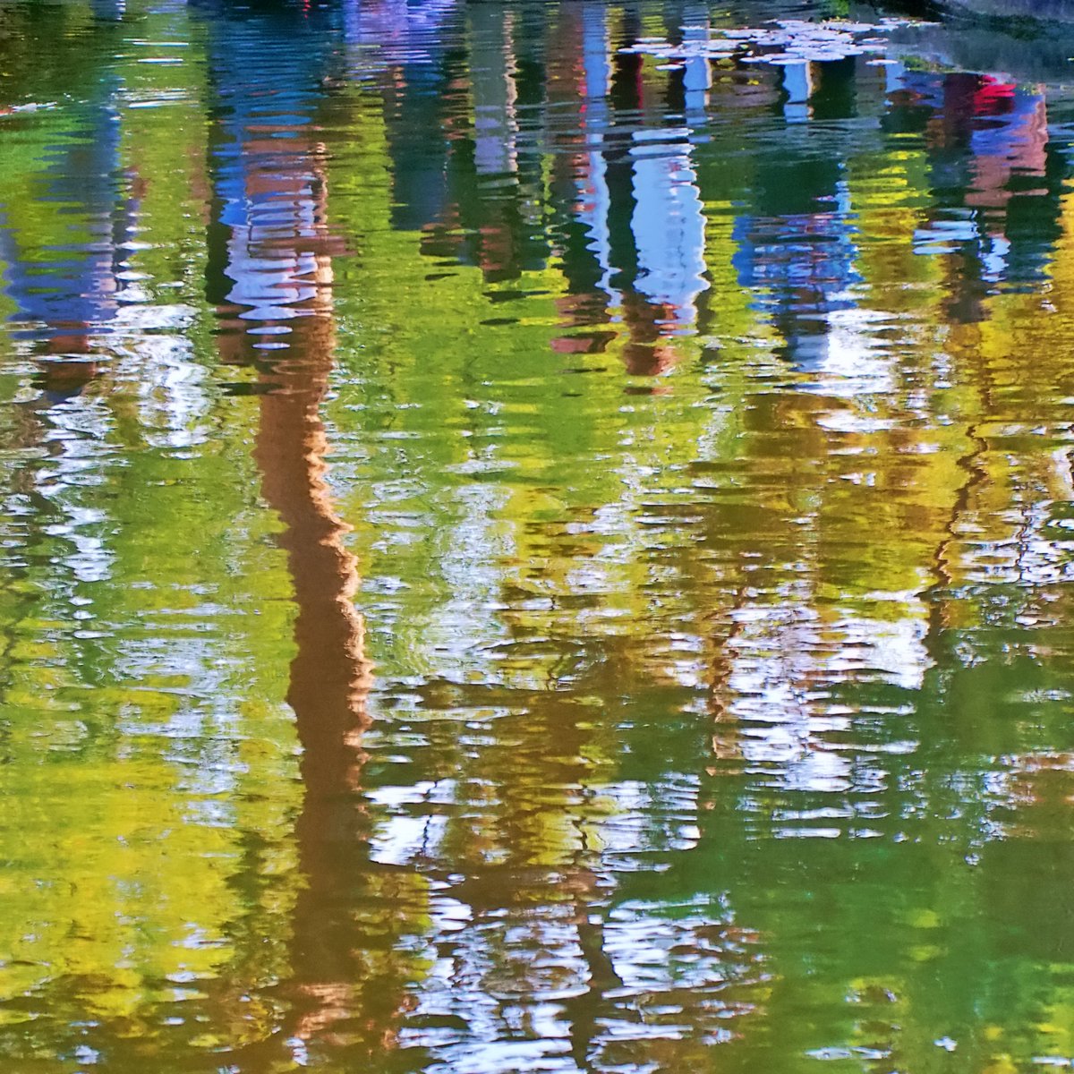 ChromeEra's tweet image. May 14, 2021 #Synarchy