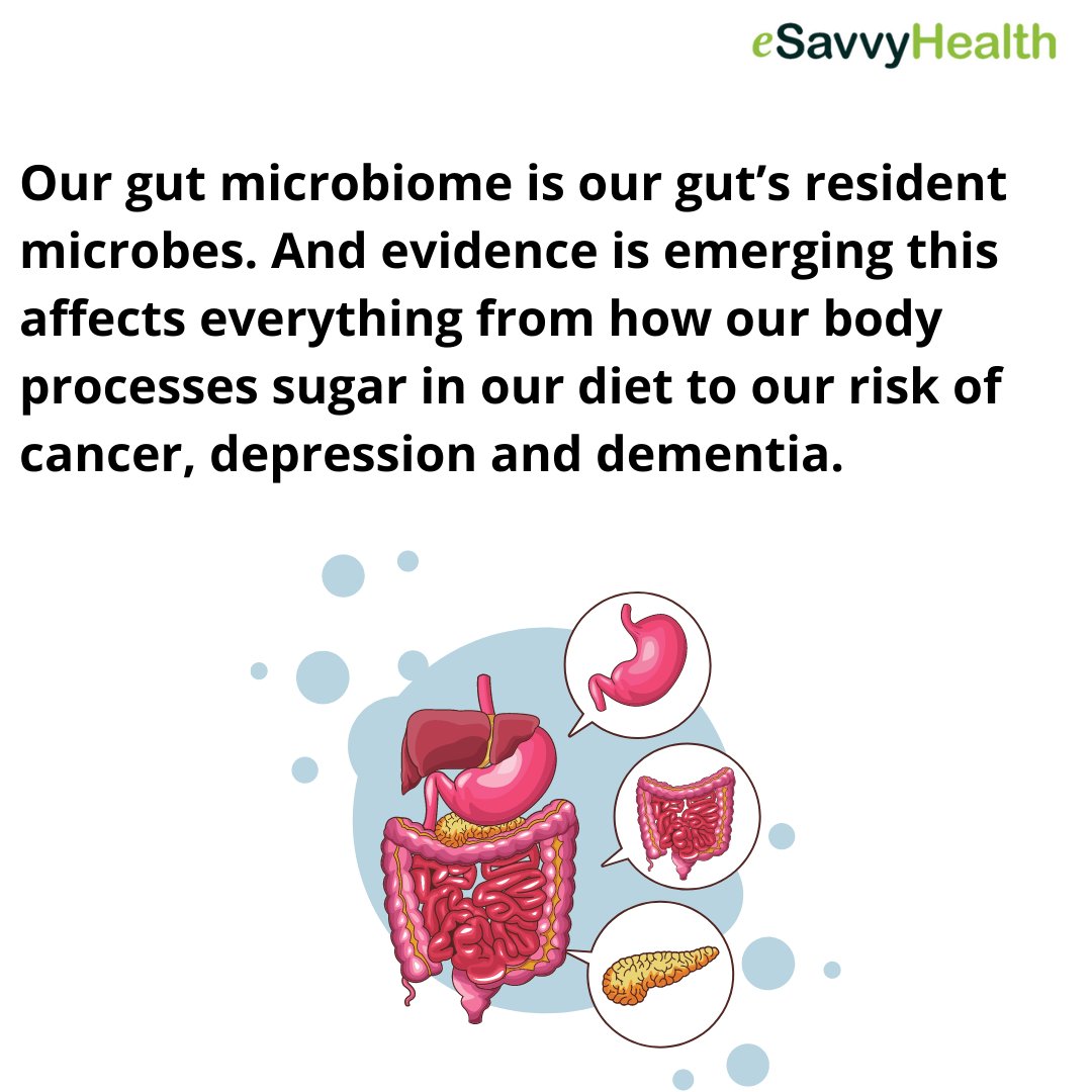 We hear a lot about gut health lately, but how much of it is true?

#microbiome #nutrition #healthyfood #fermentation #probiotic #wellness #organic #guthealthmatters #guthealthiskey #vegan #health #glutenfree #guthealthdiet #probioticsupport #guthealthiseverything #weightloss