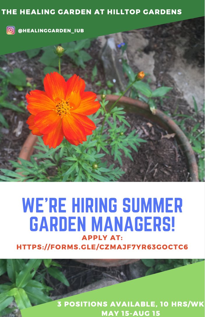 HIRING SUMMER GARDEN MANAGERS--THE HEALING GARDEN AT HILLTOP GARDENS 3 Positions Available, 10 HRS/WK May 15-Aug 15 If interested, please fill out an application here: forms.gle/CZmAJF7Yr63goc… Read detailed position descriptions here: docs.google.com/document/d/1Ys…