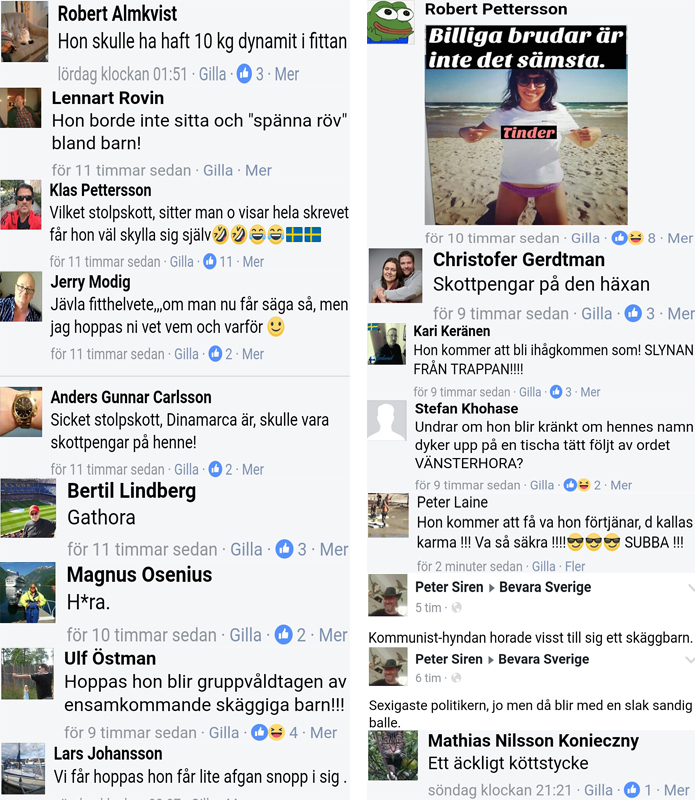 När Åkessons väljarkår ska visa upp hur den ursvenska icke-importerade kvinnosynen ser ut...