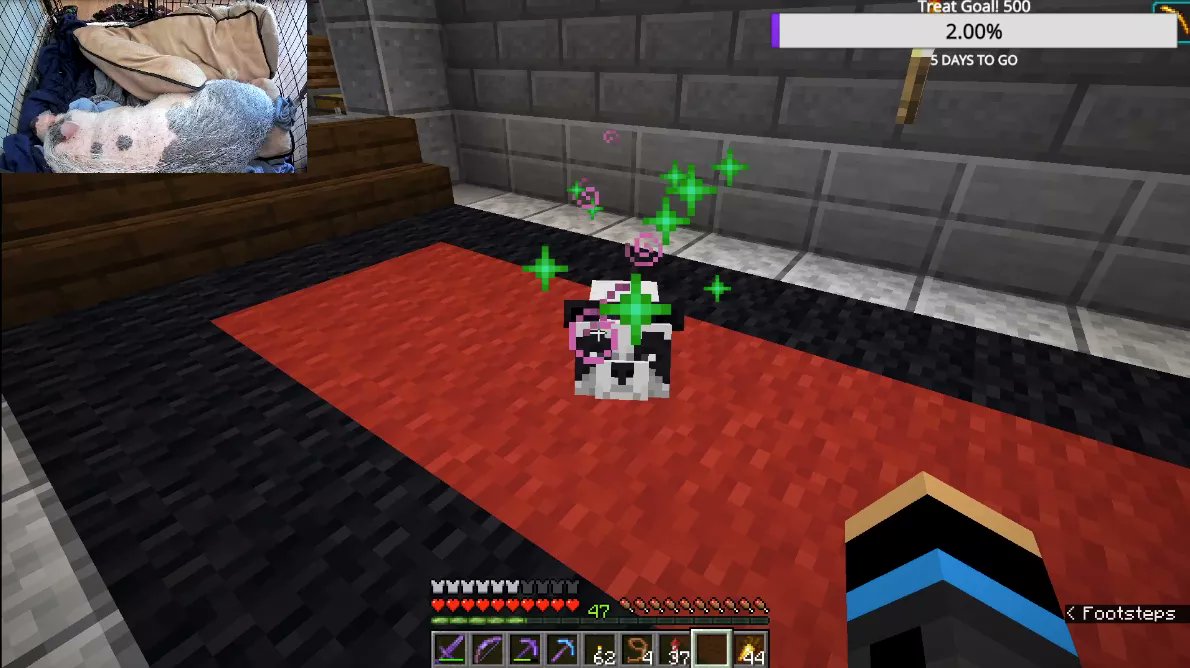 CantaloupeTweet's tweet image. Wow that was a journey, BUT WE GOT A PANDA 🐼
#ababypanda  #minecraft #minecraftpanda #pigcam