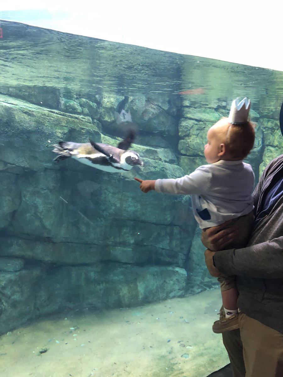 Leigh Diacont tweet media