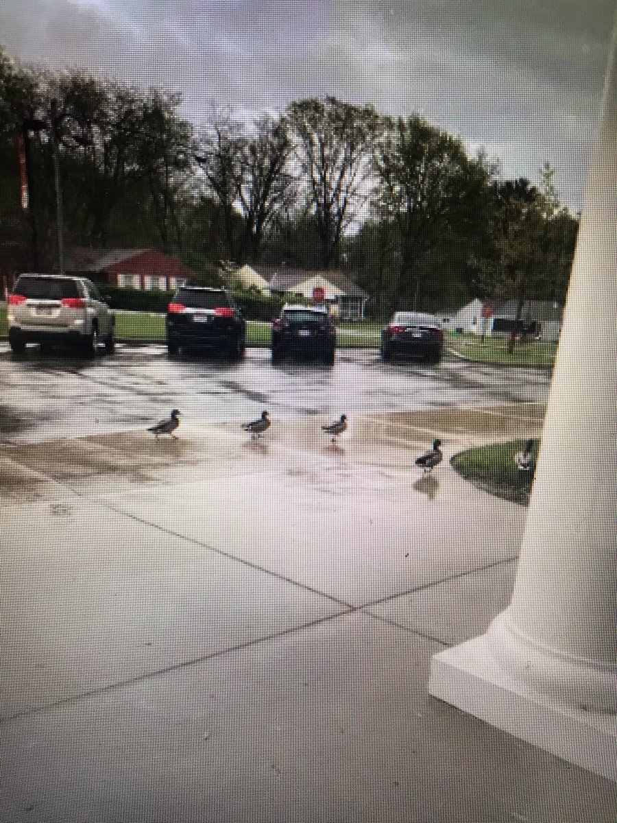 At least some like the weather at Hayes today!!