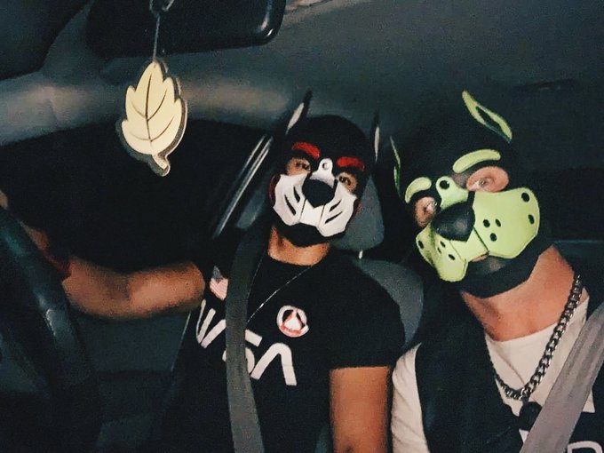 Pupper drivers ?? #puppyplay #pupplay #petplay https://t.co/Ej6nCuIhgP