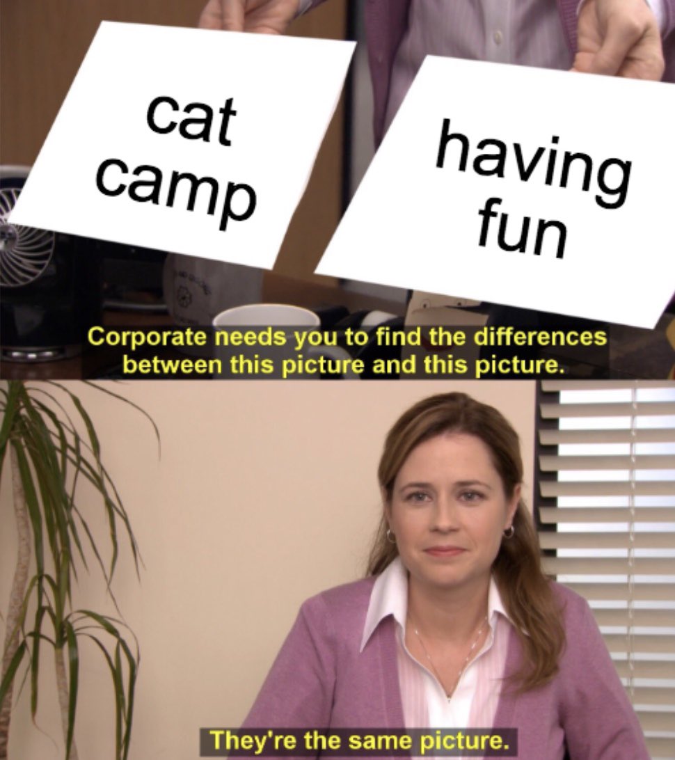 Cat_Camp's tweet photo. Hey #txst25 be sure to sign up for cat camp, the link is in our bio. We can’t wait to meet you! #eatemup #txst #txst2025 #catcamp2021 #texasstateuniversity https://t.co/yLKJuFpjy0
