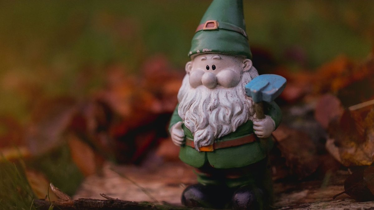 китайский гном. рассказать детям о сказочных гномах. зеленый гном. картавый гном. выходит гномик.