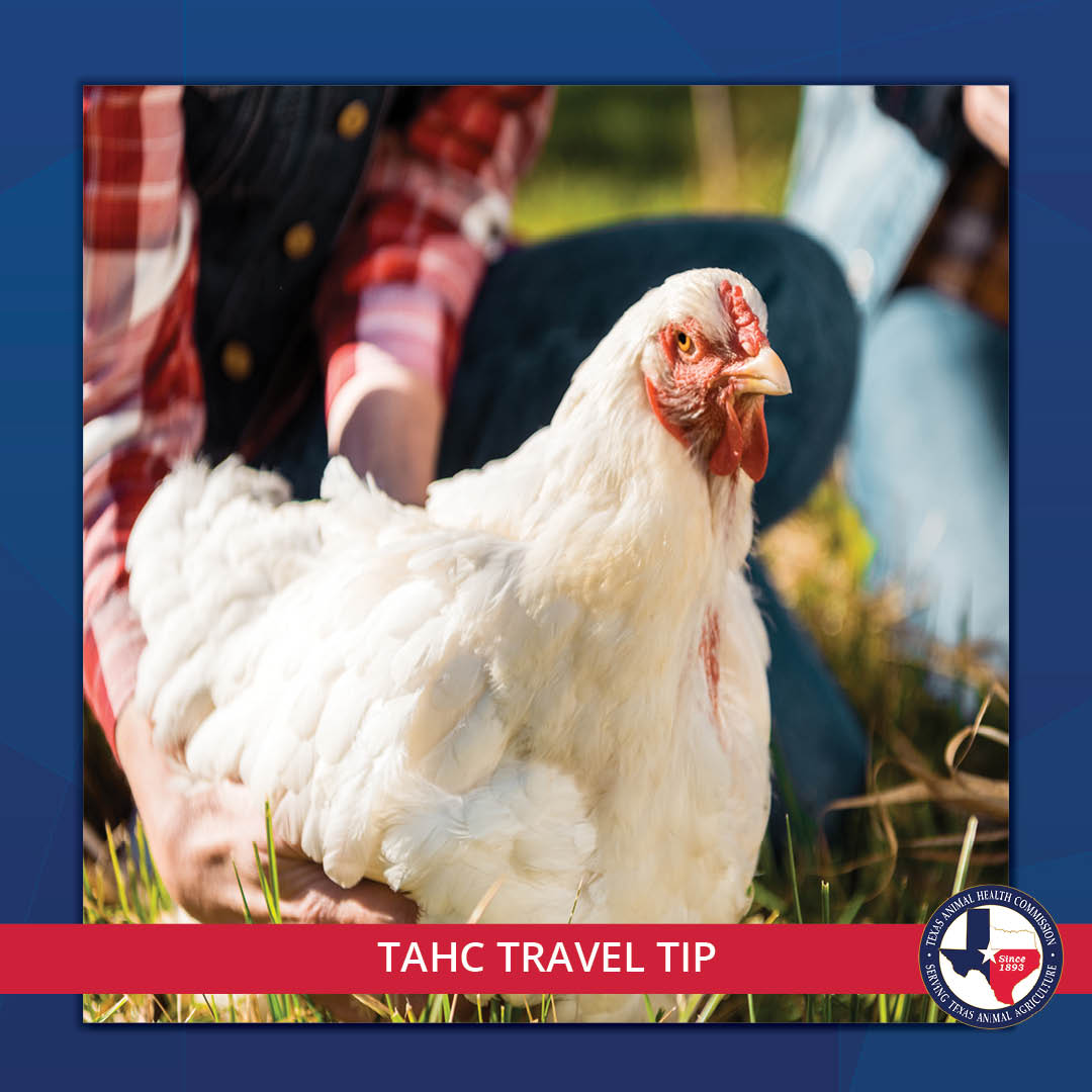 Texas Animal Health Commission on Twitter: Texas Animal Health Commission on Twitter: