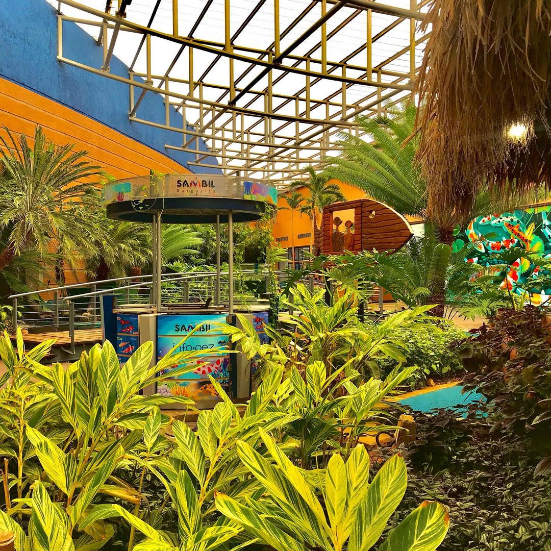 tusambilmgta's tweet image. Esta semana seguiremos trabajando para tí de 10am a 7pm.
*Rubros priorizados*
Farmacias 
Supermercados
Bodegones 
#sambilinforma 
#SambilMargarita