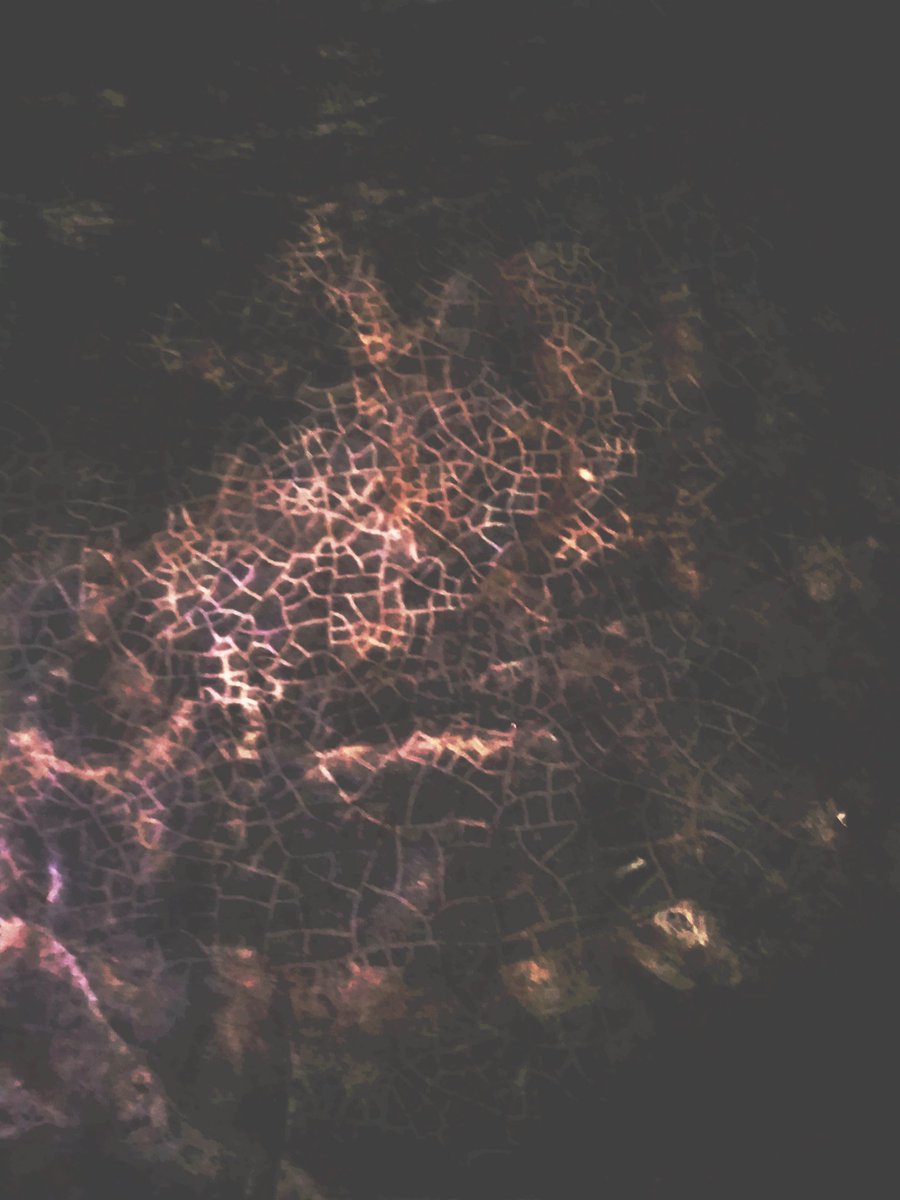 WolfnEgoPrime's tweet image. &quot;No. 8.27&quot;

#digitalart #ancients #obscuration