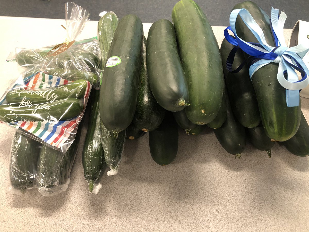 Instead of flowers for the first day of teacher appreciation week, I always ask for cucumbers. This morning I got 23 on my desk 😂😍🥒 #sayresharks