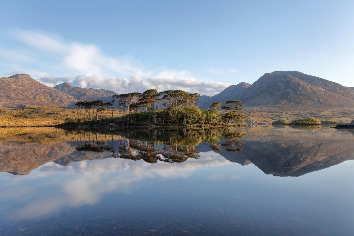 Chaosheng Zhang ISEH 2022 on Twitter "Big mirrors in Connemara