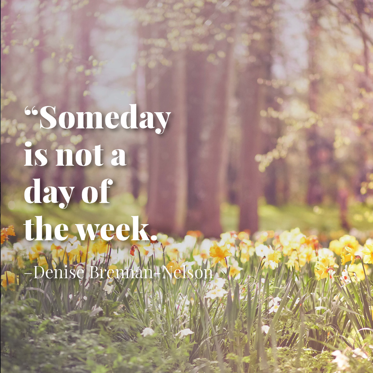 Too often, we get busy and weeks go by without us talking about long-term goals or dreams that get pushed aside. It's easy for our values and priorities to get buried in the day-to-day.

Be proactive, not passive, to take responsibility for our own happiness.