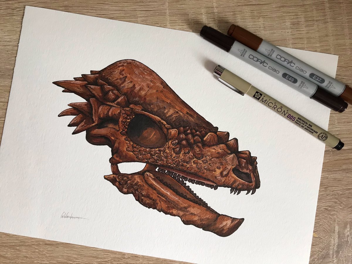 Here is a rather thick-headed lizard