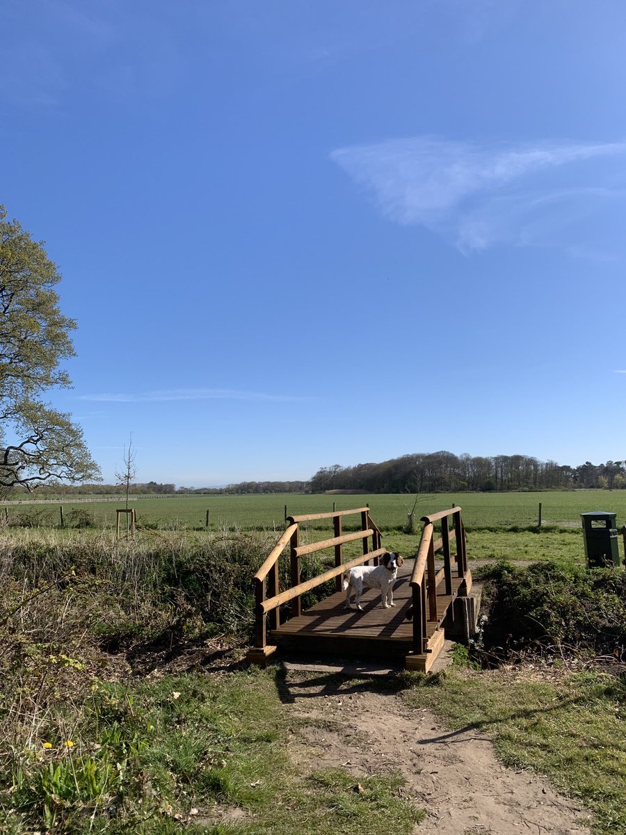 MortgageSusanne's tweet image. Guess the day  ⁦@LythamHall⁩  2 photos from Friday and 2 from today ! #happybankholiday #mayday #soquiet #bobdontcare #springerlife  ⁦@MatthewGarrod5⁩