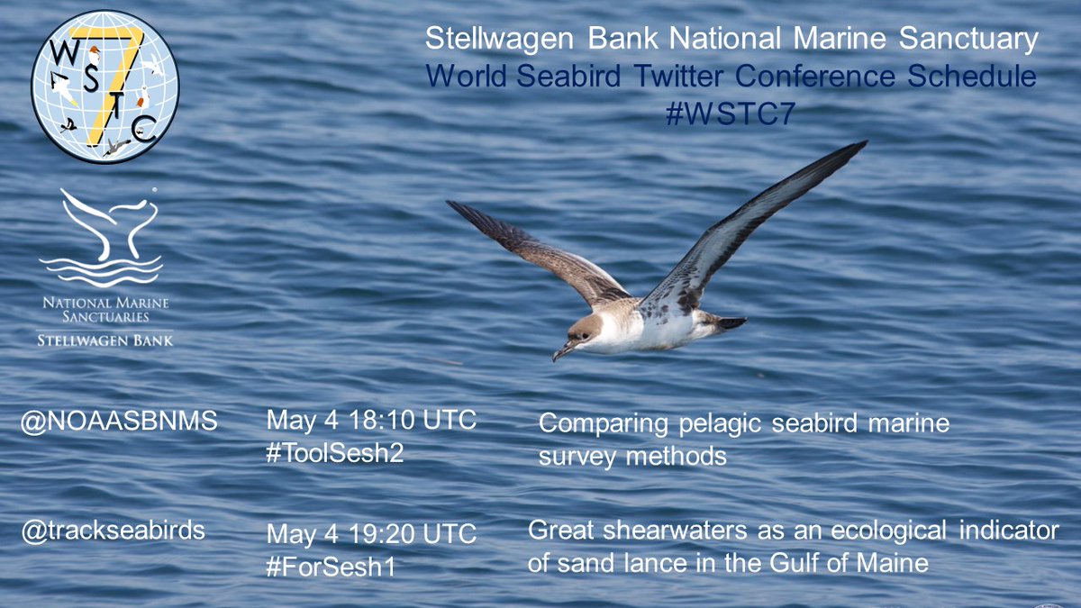 trackseabirds's tweet image. Can&apos;t wait for #WSTC7!
Catch 2 presentations by @NOAASBNMS tomorrow in #ToolSesh2 &amp;amp; #ForSesh1
#trackseabirds
