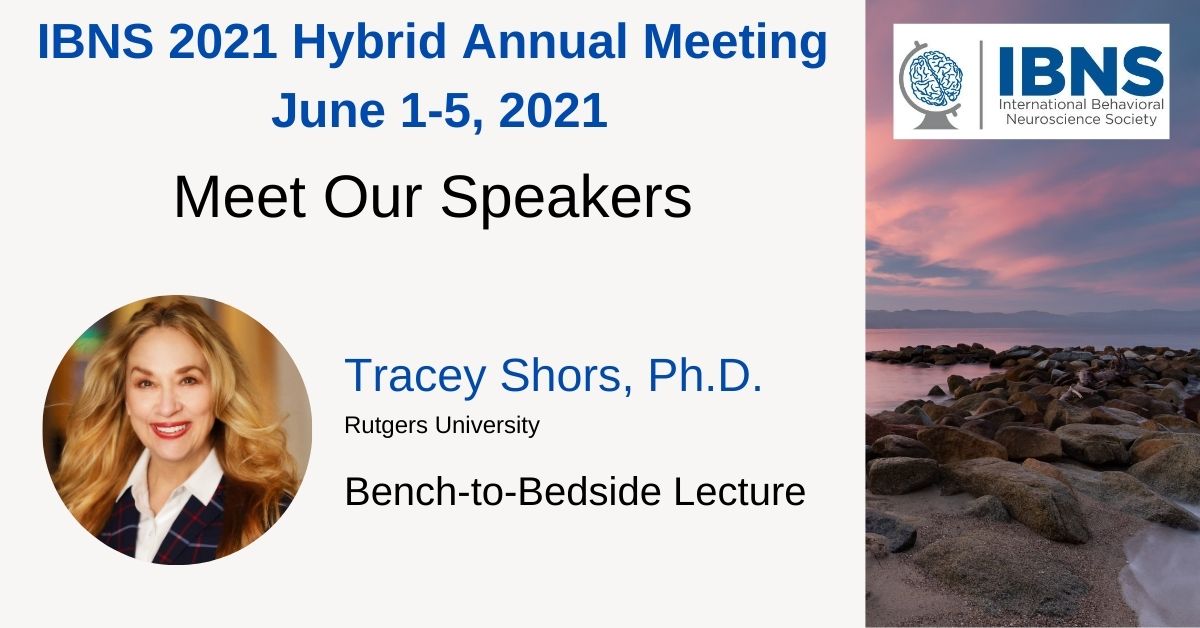 IBNS (@ibnsconnect) on Twitter photo 