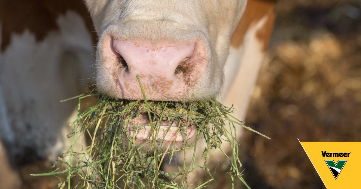 It will spoil. My cattle won’t like it. It’s too expensive. These are just a few myths about making baleage that we’re busting. bit.ly/2R4RR1G