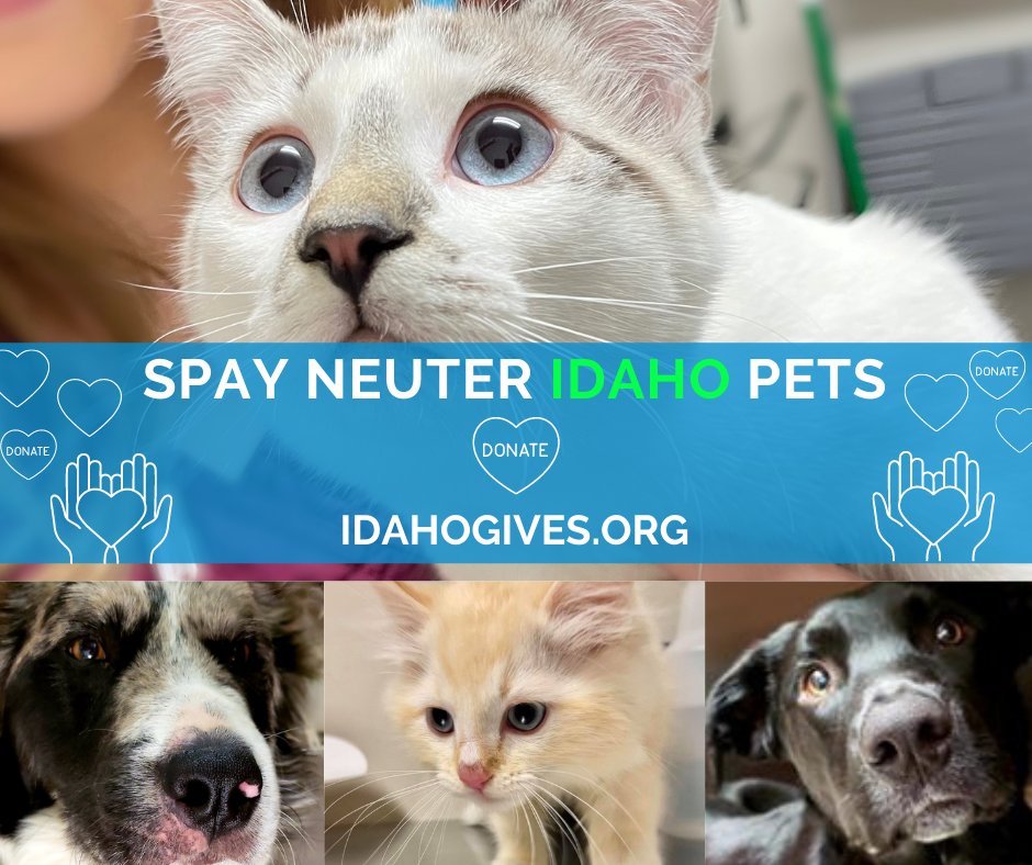 Did you know that the SNIP Clinic offers financial assistance to pet parents who would not be able to otherwise afford to spay or neuter their fur babies?

To support this program, please visit: idahogives.org/organiz.../spa…