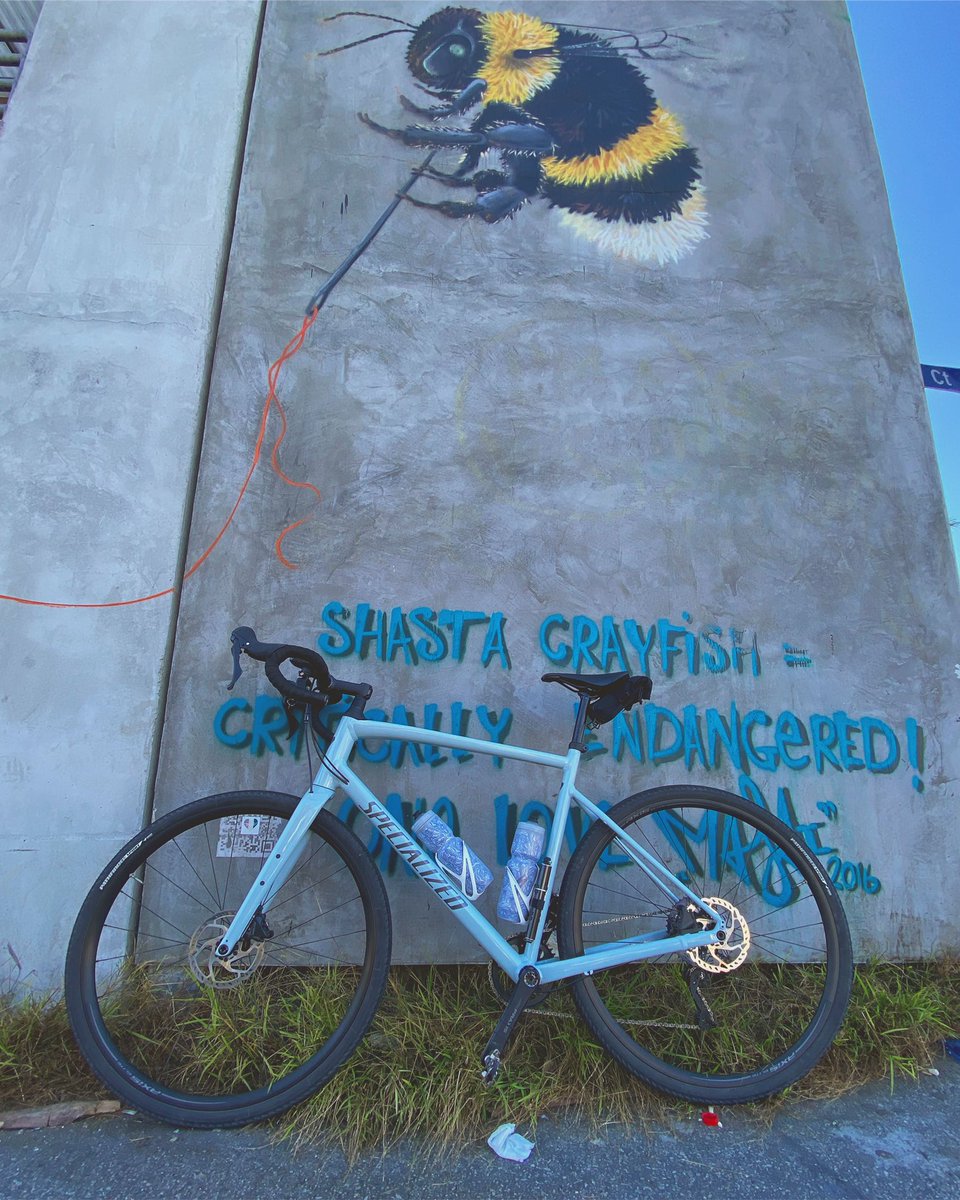 Monday. #gravelbike #mondaythoughts #cycling