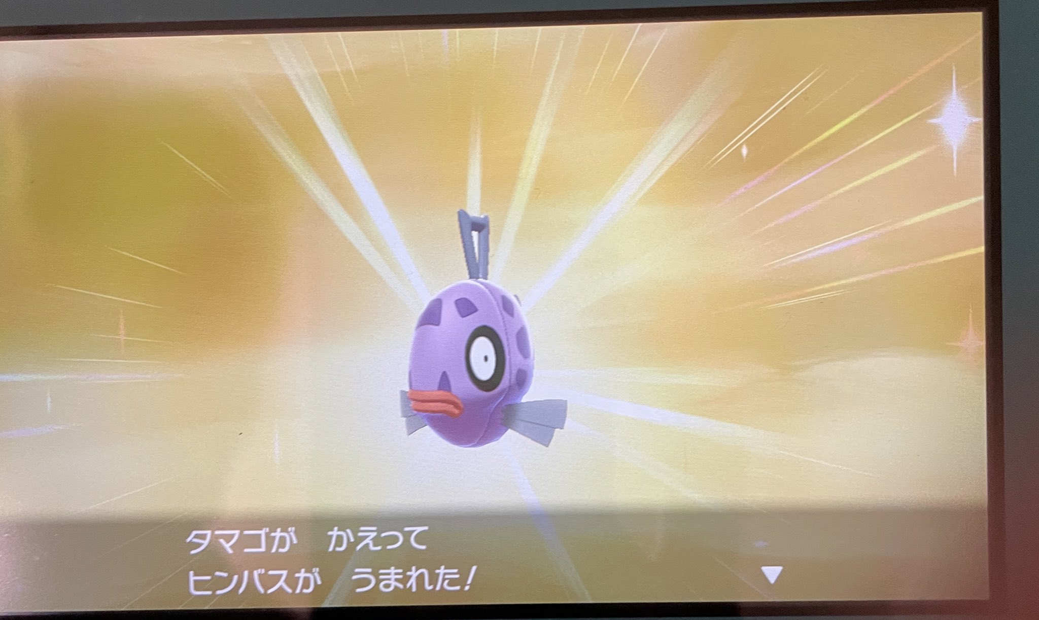 みみ Xcpxqr5ynrrljep Twitter
