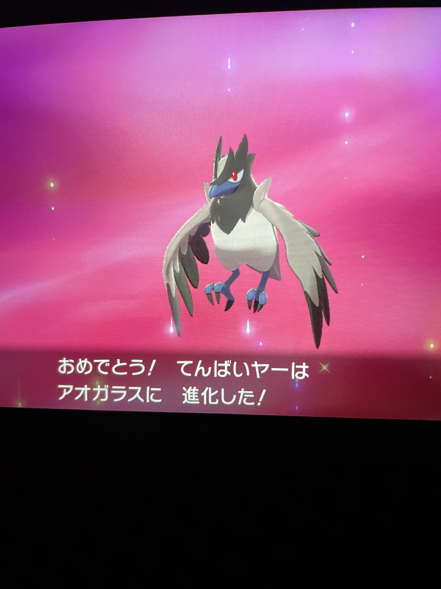 みみ ここで１つ宣伝させて下さい 色違い100匹ゲットしないと殿堂入りできないポケモン剣盾やってます 自己顕示欲で生きてます ポケモン好きと繋がりたい 色違い100匹ゲットしないと殿堂入りできないポケモン剣盾 色違い 孵化厳選 ポケモン