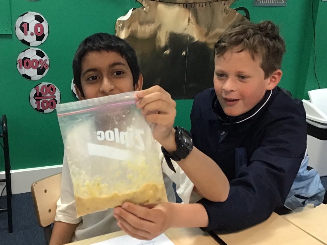 LaxtonJunior's tweet photo. After learning about nutrients, #LJSYear6 went on to study the digestive system. They used the brilliant @curiscope app to help them visualise exactly what it looked like, and then modelled it with some mushed-up food and tights. Wonderfully gross! #WeAreLJS #primaryscience https://t.co/iqGvThN59O