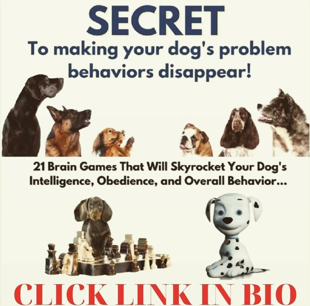 FreeDogTrainin5's tweet photo. https://t.co/k3s3TJ68NU