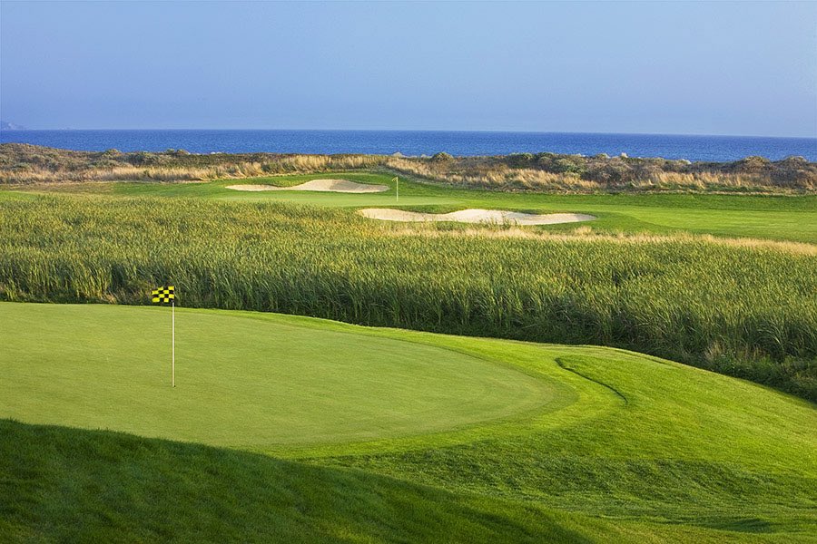 Hannah Gregg 🇺🇸 tweet media