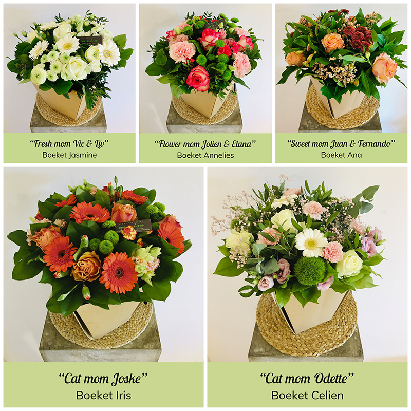 FleurLies's tweet photo. 9 mei is het moederdag!
De klassieker om cadeau te geven met moederdag is het (veld)boeket. We hebben voor de gelegenheid onze boeketten hernoemd als eerbetoon aan onze medewerkers. Wat voor soort moeder ben jij?
Tip: bestel tijdig uw boeket 
#fleurdelies #oostende #bloemenwinkel https://t.co/5e5tSZam63