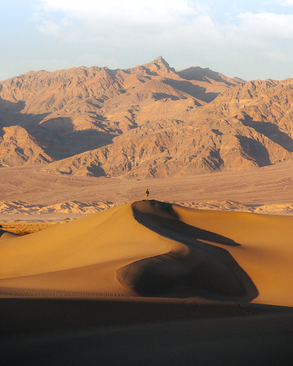 The edit                   //                 The shot