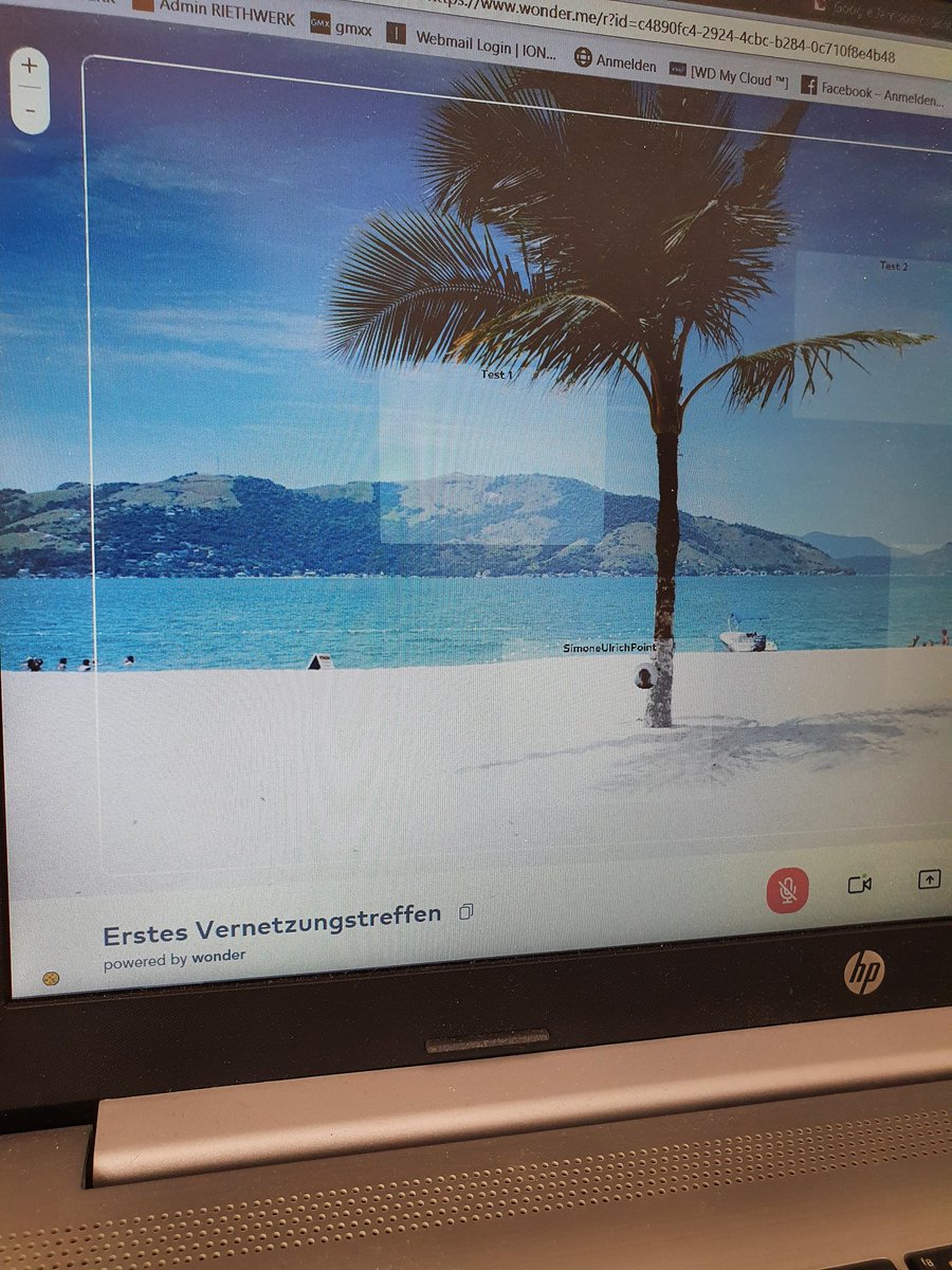 So könnte ein digitales Vernetzungstreffen auch Spaß machen... #wenigstensnepalmeimbild